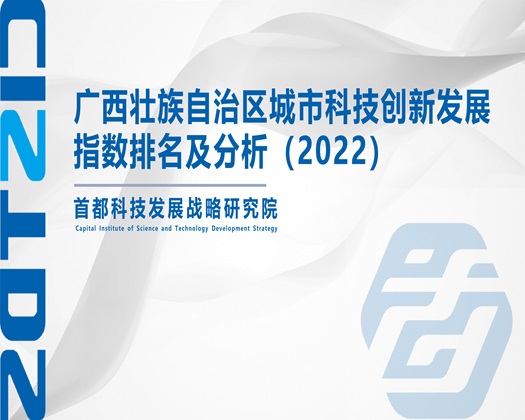 骚逼太大想插的视频【成果发布】广西壮族自治区城市科技创新发展指数排名及分析（2022）